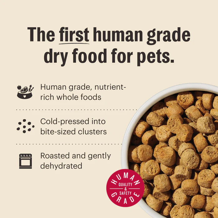 The Honest Kitchen Whole Food Clusters Beef Grain-Free Dry Dog Food